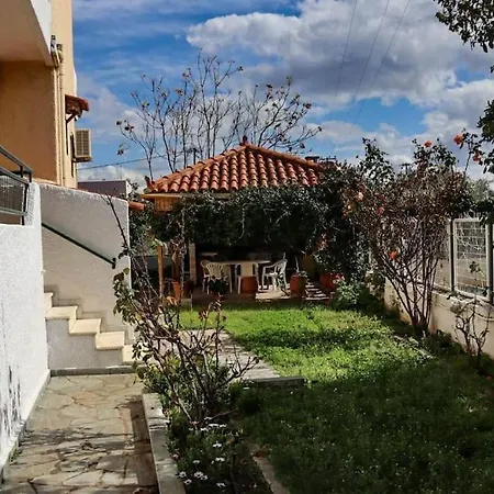 Villa House In Euboea Politiká