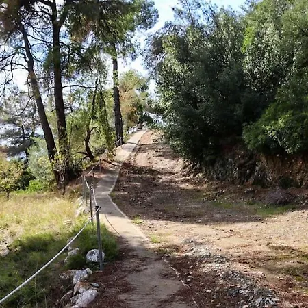 Villa House In Euboea