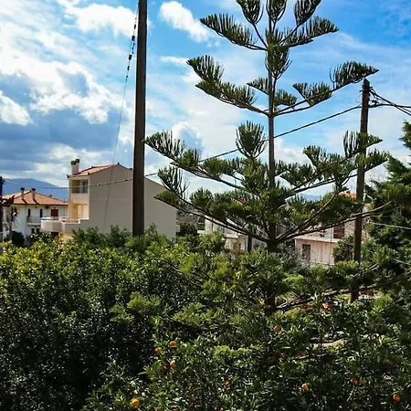 Villa House In Euboea Politiká