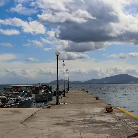 Villa House In Euboea Politiká