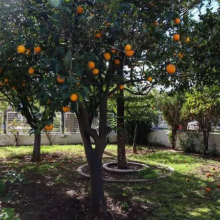 House In Euboea * Politiká