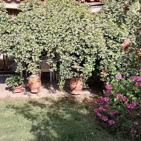 Villa House In Euboea Politiká